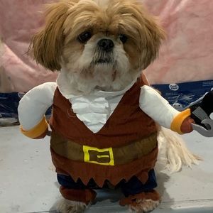 Meet your Posher, Caroline